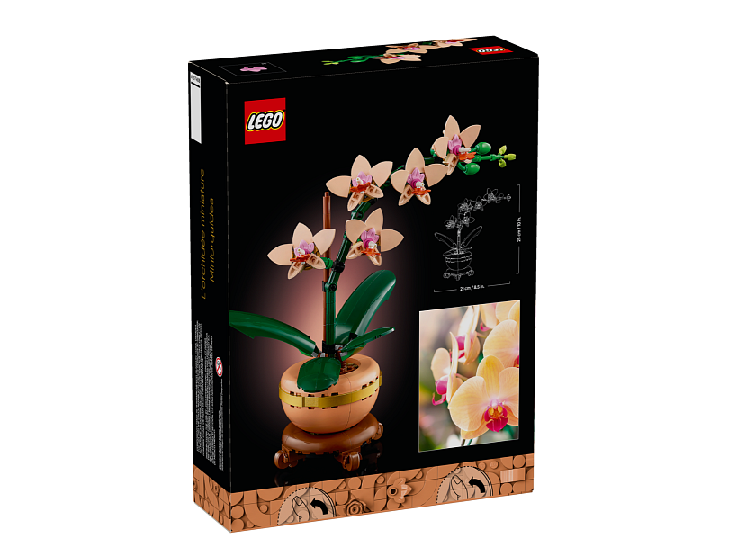 LEGO 10343 Miniaturní orchidej