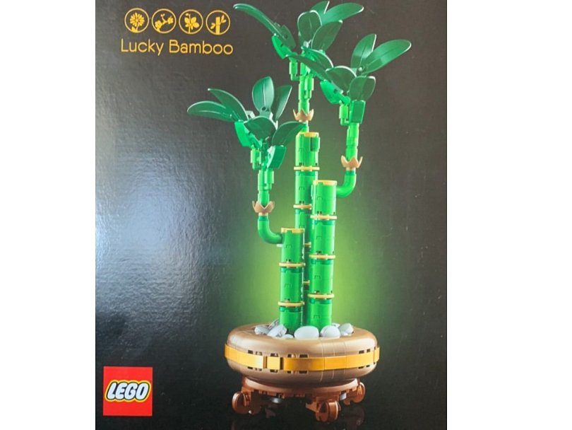 Šťastný Bambus (Lucky Bamboo, 10344)