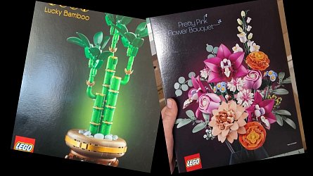 LEGO Botanicals Pretty Pink Flower Bouquet a Lucky Bamboo