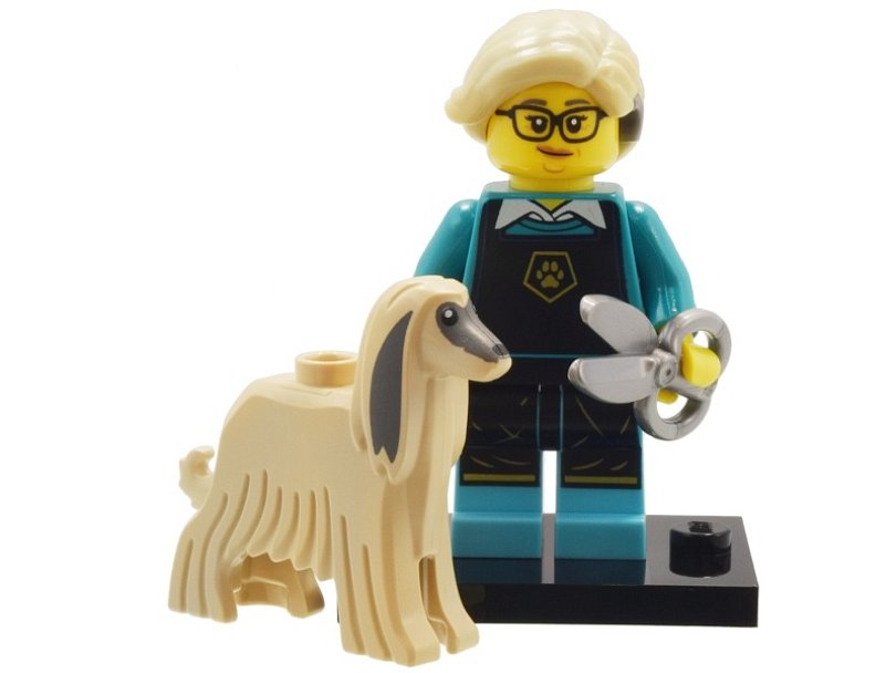 LEGO 71045 minifigurky col25-12