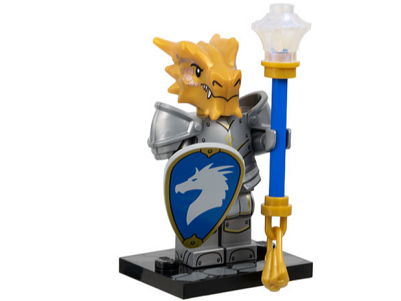 LEGO Dungeons & Dragons coldnd-4